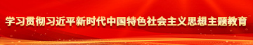 操逼国产电影学习贯彻习近平新时代中国特色社会主义思想主题教育